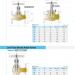 Land Type Bronze Valves Land Type Bronze Valves