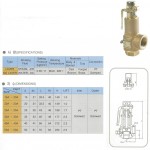 Safety Relief Valve Safety Relief Valve